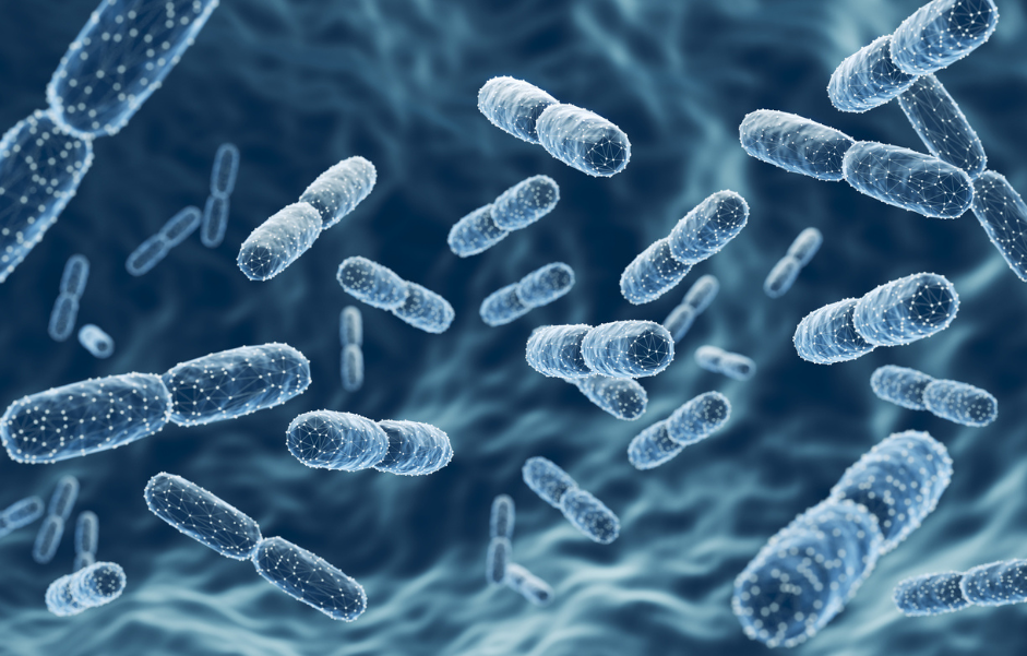 Beyond Surface Level: Your Gut Might Be Your Skin's Best Friend
