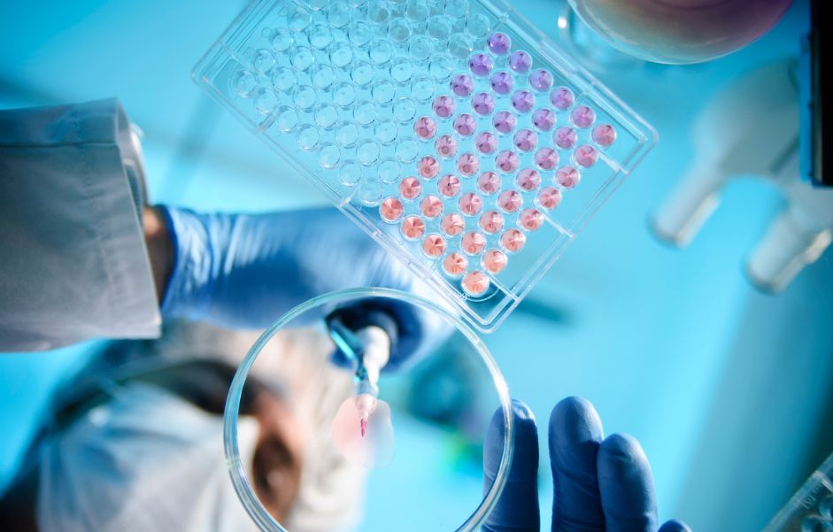 In Vivo vs. In Vitro Testing in Skincare: What the Labels Don't Tell You