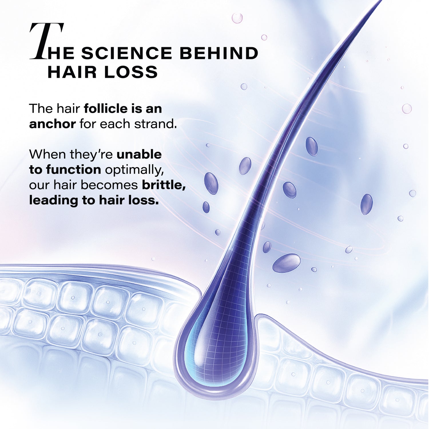 Follicle Revive Scalp Serum for Hair Growth, 50ml